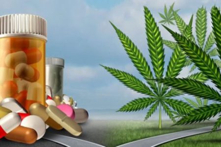 Why is CBD replacing Medications?